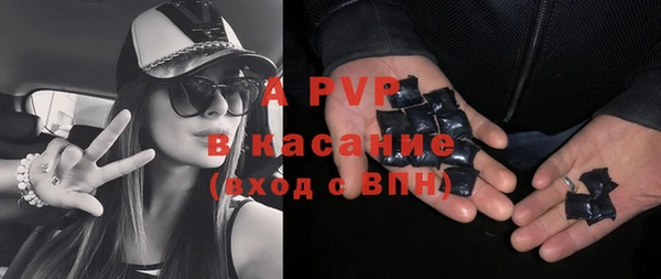 прущие грибы Абаза