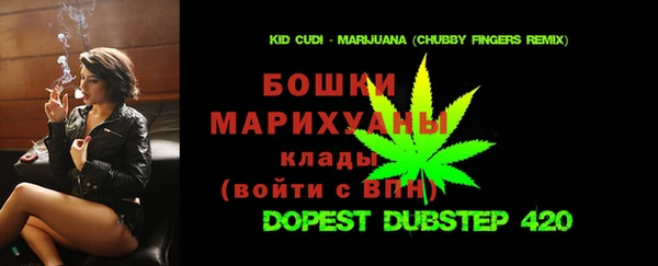 прущие грибы Абаза