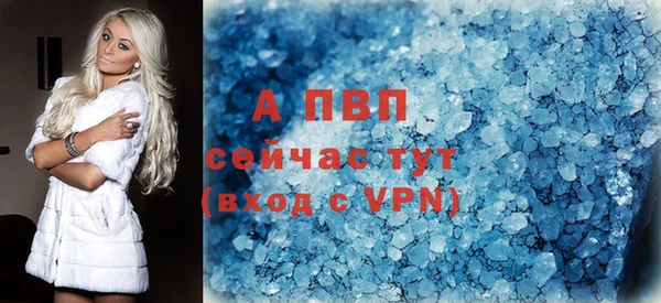 прущие грибы Абаза