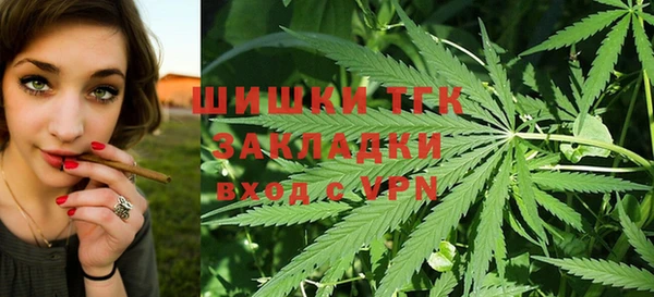 прущие грибы Абаза