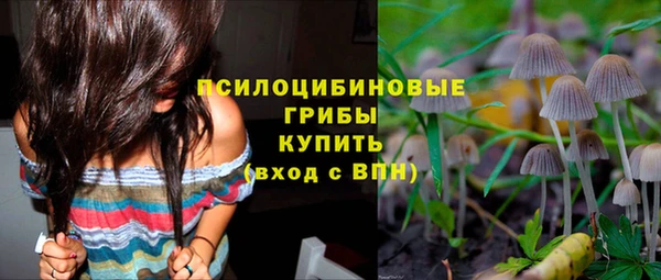 прущие грибы Абдулино