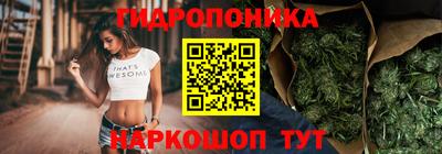молекула духа Северобайкальск