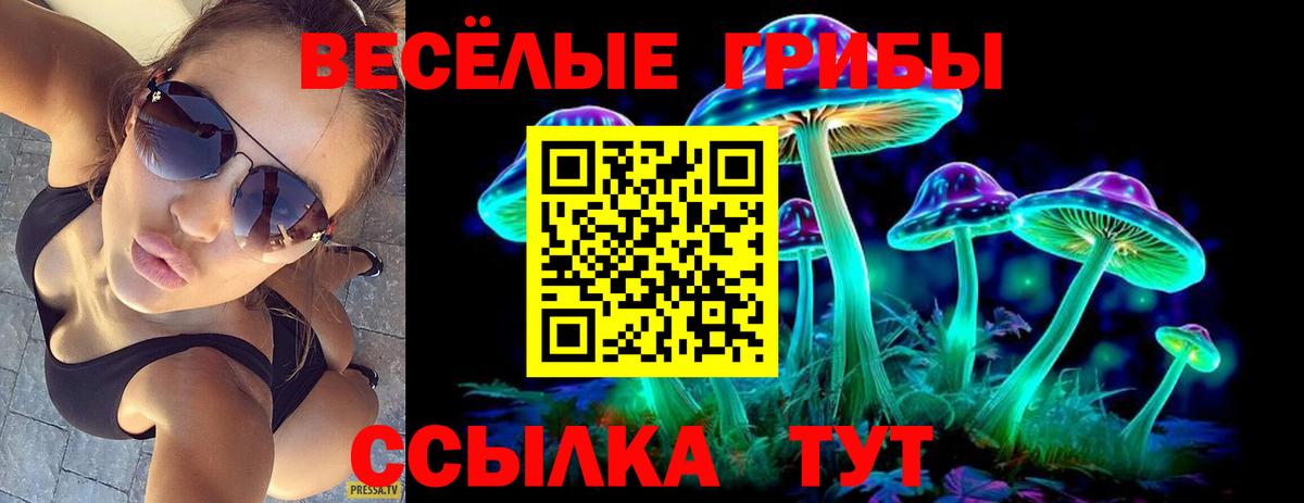 Хасавюрт  что такое   Вход с VPN  Псилоцибиновые грибы Cubensis 